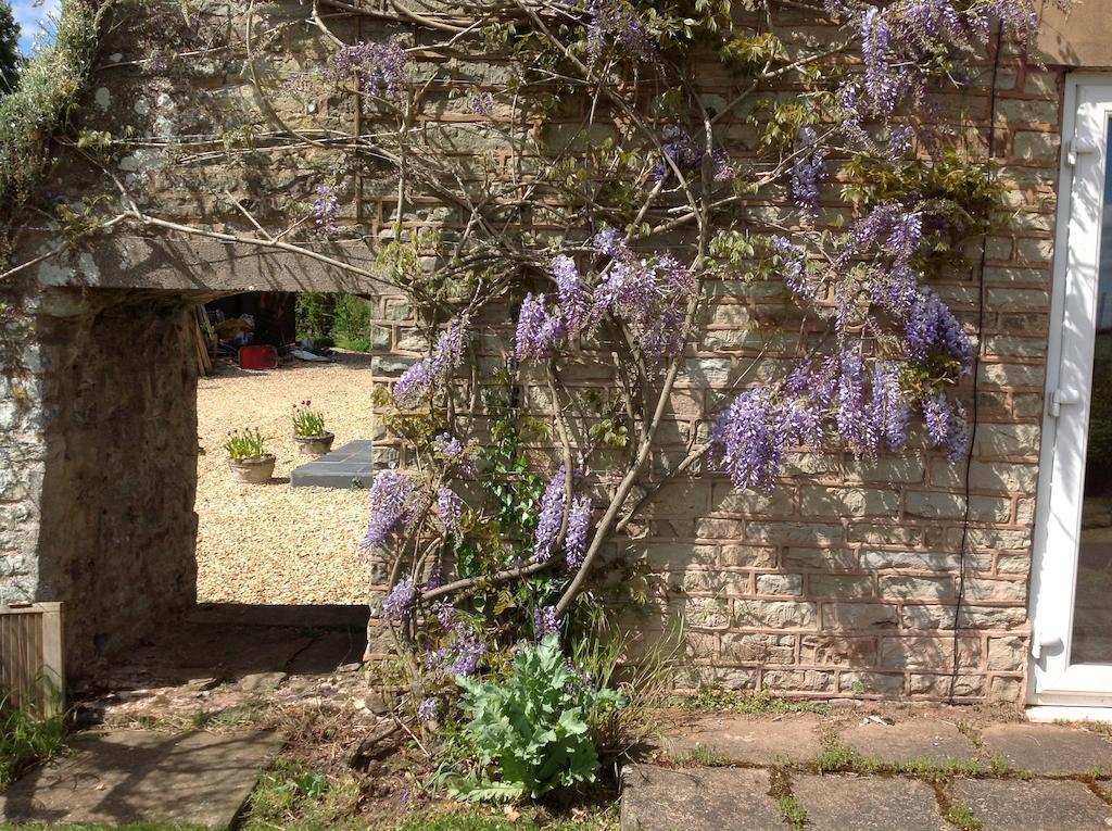 The Coach House Ross-on-Wye Exterior foto
